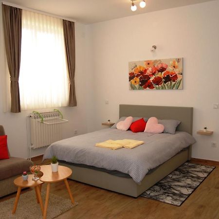 Studio Apartmani Toplicka Bajka Krapinske Toplice Extérieur photo