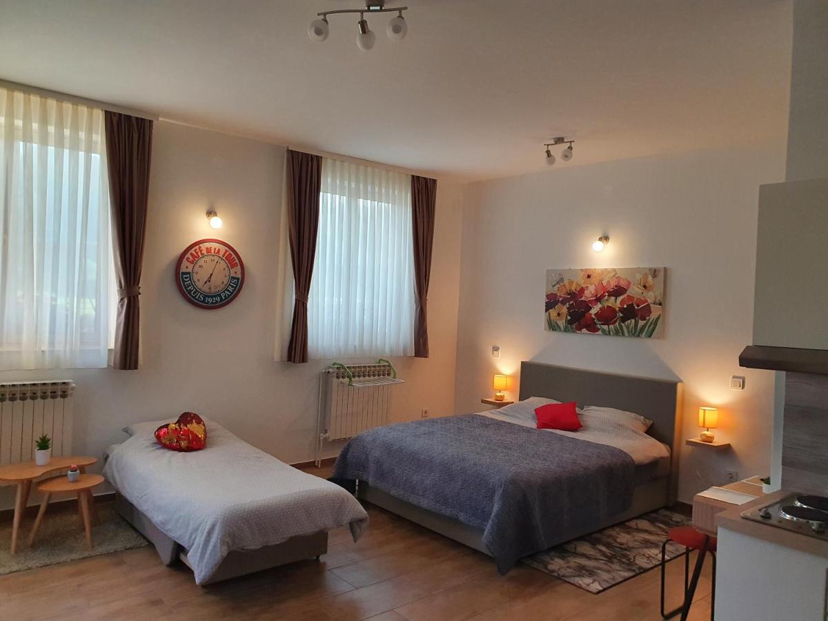 Studio Apartmani Toplicka Bajka Krapinske Toplice Extérieur photo